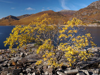 20121010-Glen Cannich-RA101496