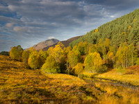 20121021-Glen Affric-RA211745