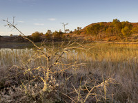 20121009-Culnakirk-RA091344