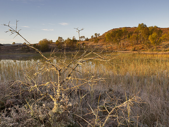 20121009-Culnakirk-RA091344