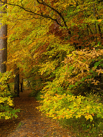 20121028-Invermoriston-RA281887