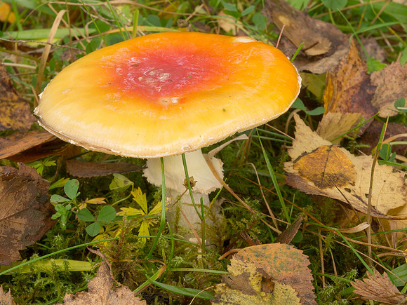 20121014-untitled-RA141643