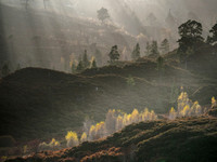 Glen Cannich Light Show