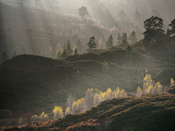 Glen Cannich Light Show