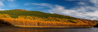 Larches and Loch Craskie