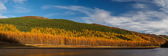 Larches and Loch Craskie