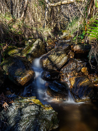 Cascade
