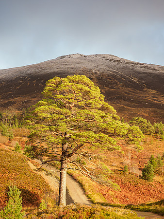 20211121-Glen Cannich-EM123796