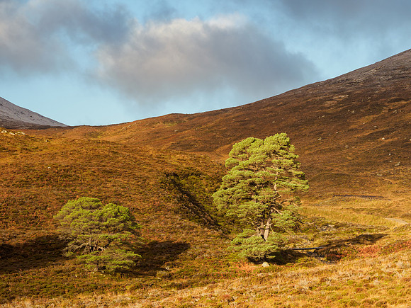 20211121-Glen Cannich-EM123822