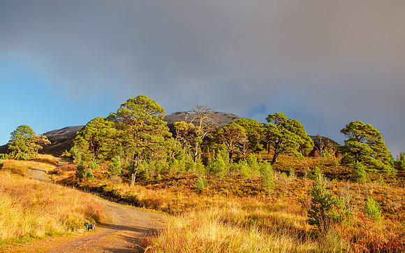 20211121-Glen Cannich-EM123800