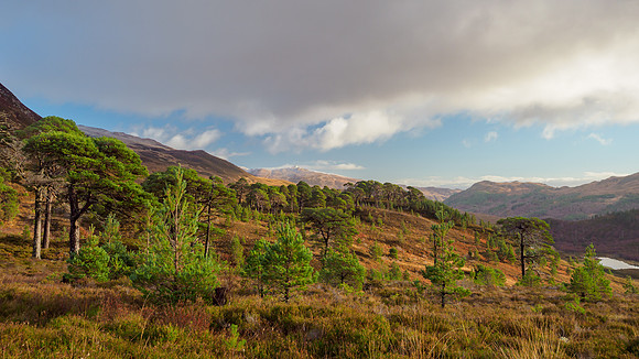 20211121-Glen Cannich-EM123795