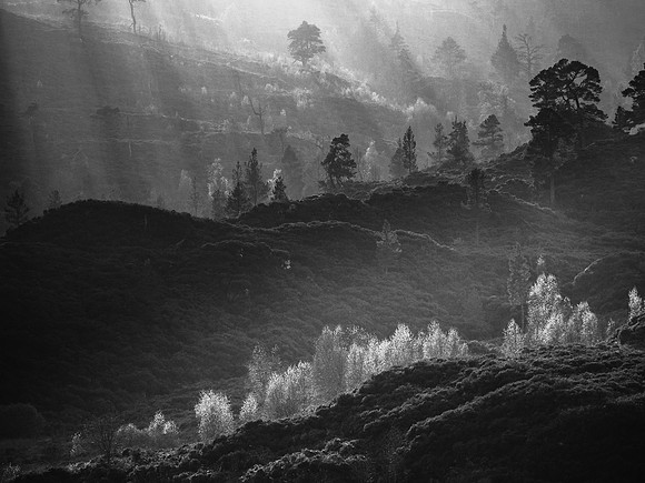 Glen Cannich Light Show