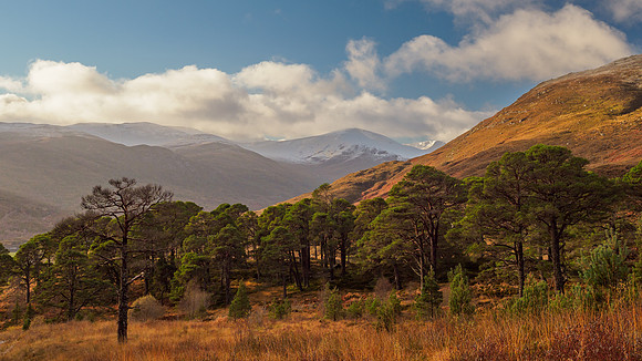 20211121-Glen Cannich-EM123806