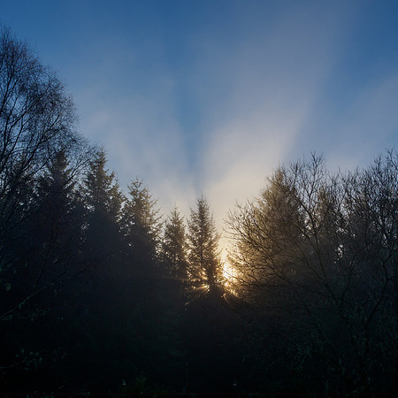 Rays of Light