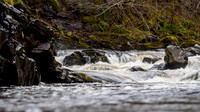 20211211-Dhivach-EM525413