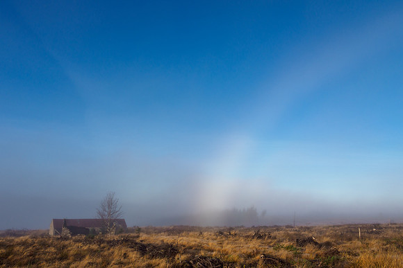 Dogwalk Fogbow