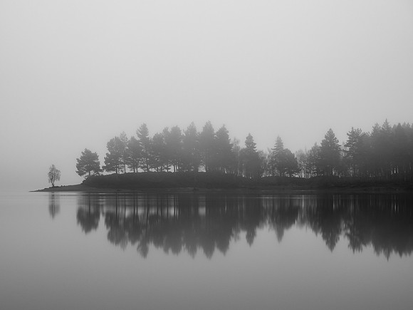 Mist, Light and Silhouettes