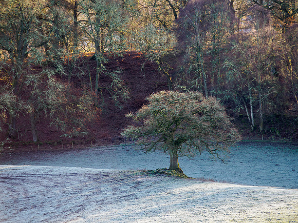 20211228-Glen Coiltie-EM525430