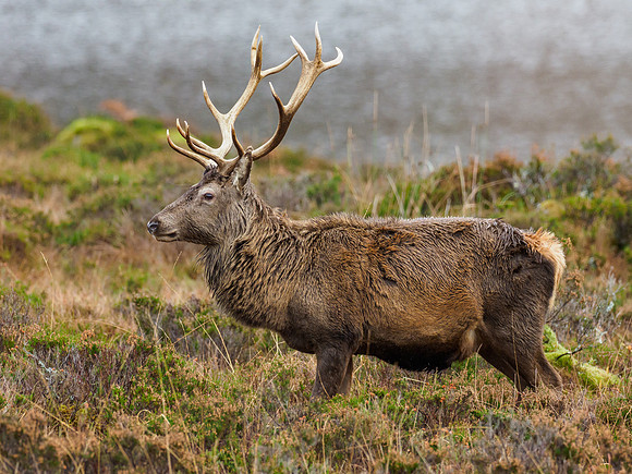 20211212-Glen Cannich-EM124554