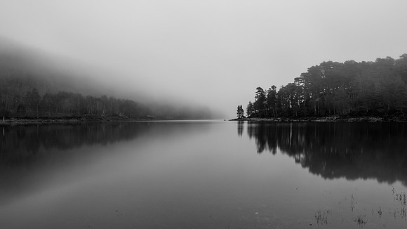 Mist, Light and Silhouettes