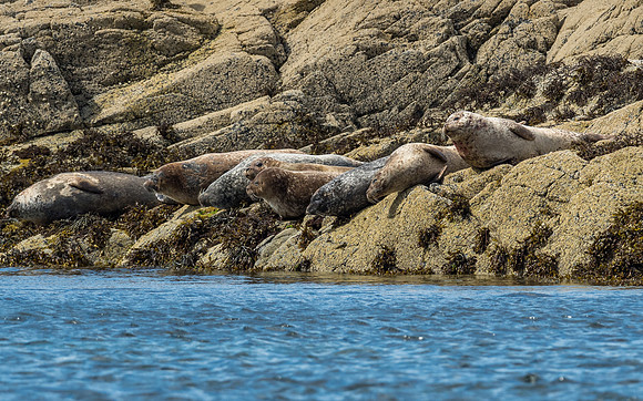 On Your Marks..., get Set..., Zzzzzzz!
