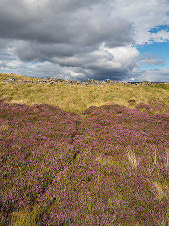 Glentarroch
