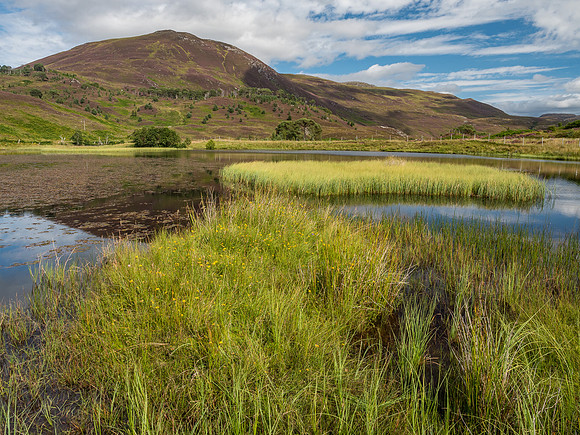 Colourful Glen Cannich