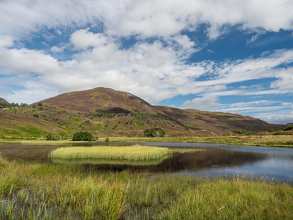 Colourful Glen Cannich