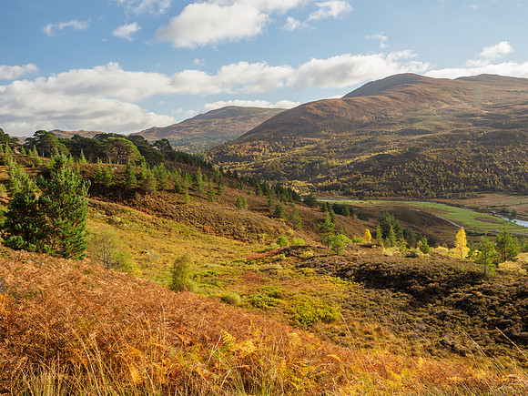20211022-Glen Cannich-EM120679