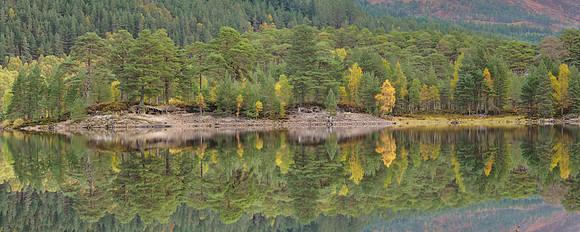 Glen Affric Autumn Colours