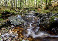 20211030-Glen Strathfarrar-M12A0834