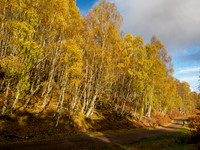 20211030-Glen Strathfarrar-EM120836
