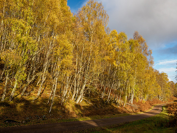 20211030-Glen Strathfarrar-EM120836