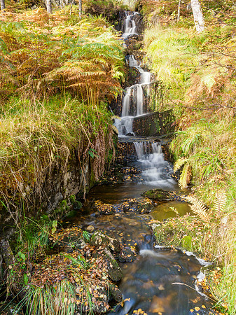 Water Steps