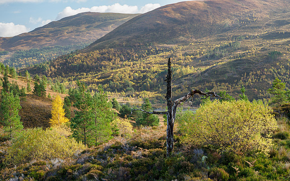 20211022-Glen Cannich-EM120681