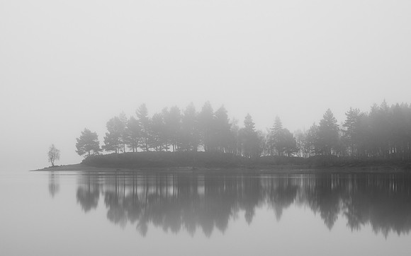 Mist, Light and Silhouettes