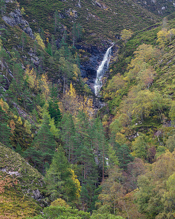 20211018-Strathconon-EM122473