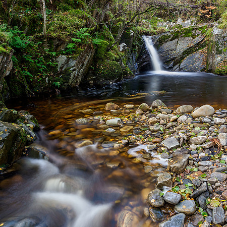 20211030-Glen Strathfarrar-M12A0828