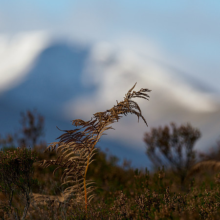 20211022-Glen Cannich-EM122918