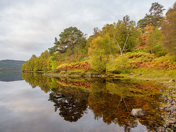 Glen Affric Autumn Colours