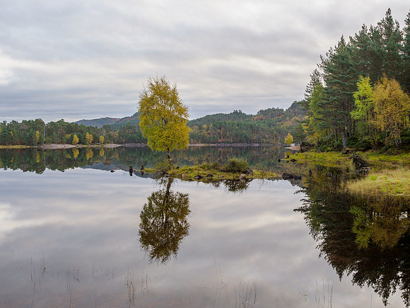 Glen Affric Autumn Colours