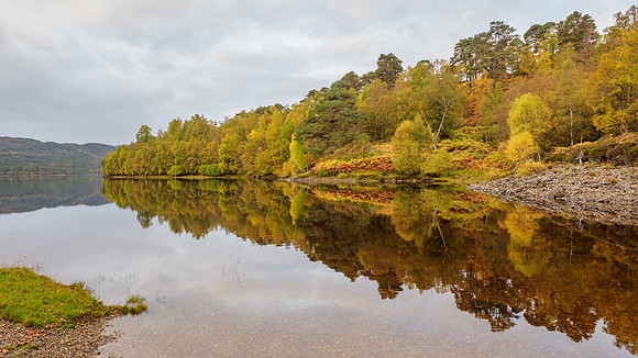 Glen Affric Autumn Colours