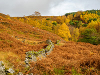 Autumnal Feel