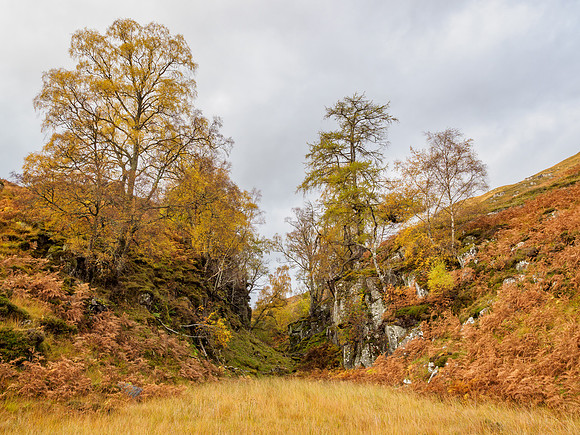 Autumnal Feel