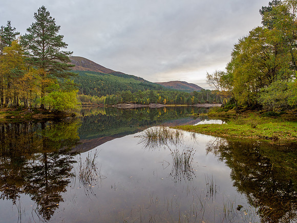 Glen Affric Autumn Colours