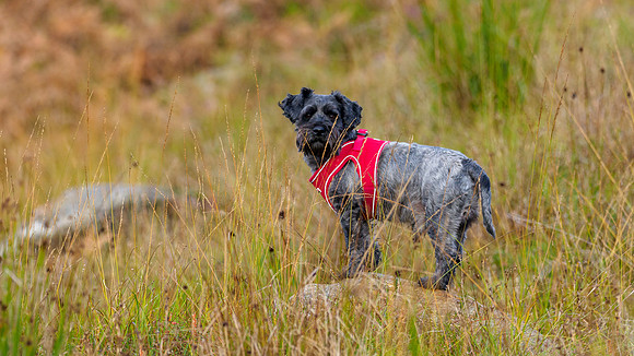 20211022-Glen Cannich-EM122951