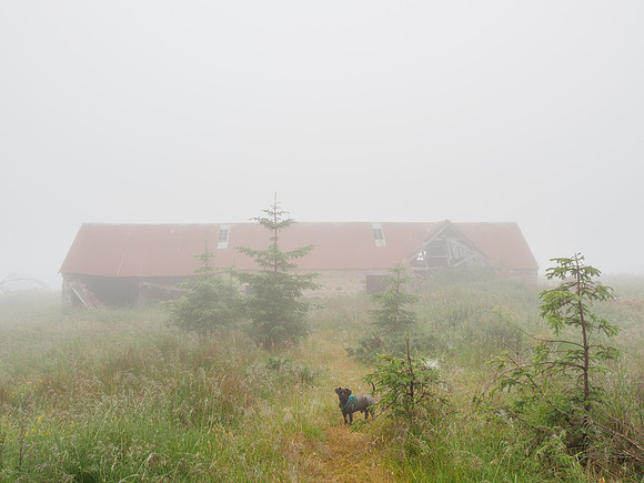 House on the Hill