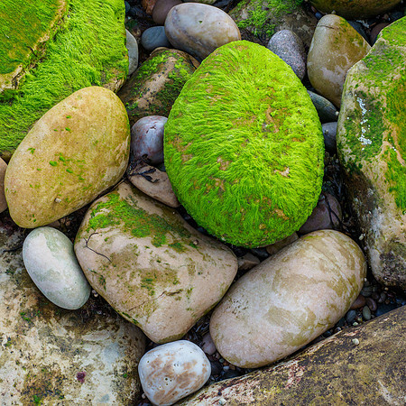 Coastal Colours