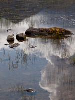 20110611-Skye-Q6111641
