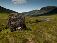 20110611-Skye-Q6111589